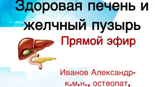 Здоровая печень и желчный пузырь