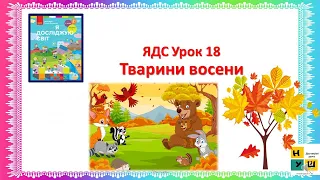 ЯДС  2 клас Урок 18 Тварини восени автор підручника Бібік