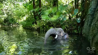 Jungle Cruise at Magic Kingdom in 4K - Walt Disney World Orlando Florida