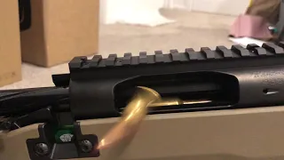 Bighorn TL3 with AW magazine 10 round feeding test