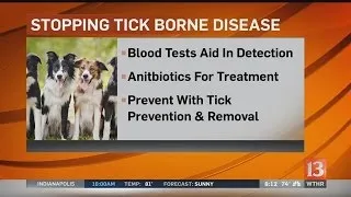 Pet Vet: Stopping tick borne diseases