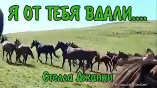 Годы мои