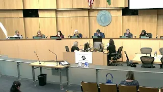 Seattle City Council 7/8/19