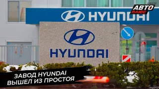 Завод Hyundai вышел из простоя 📺 Новости с колёс №2781