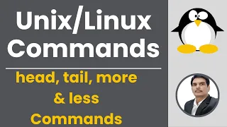 Part 4 - Unix/Linux for Testers | head, tail, more & less Commands