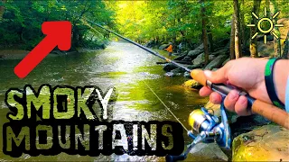 TROUT FISHING creeks in the SMOKY MOUNTAINS! Gatlinburg, Tennessee and Pigeon Forge