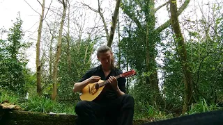A Warning from the Dying Woods - Kellswater (Andy Irvine cover)(1)