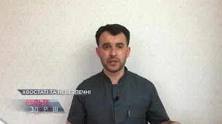 Лікар Василь Чайка на телеканалі НТН. Хвостаті та небезпечні. Будьте здорові, 10 червня 2020