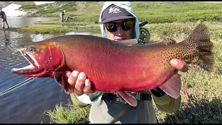 ABSOLUTE GIANTS - Fly Fishing Colorado’s High Alpine for Cutthroat