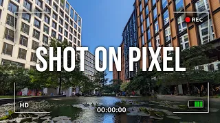 The Google Pixel 7a Camera: Still Impressive!