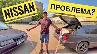 Два моих  Nissan Primera P10. Душевный выпуск.