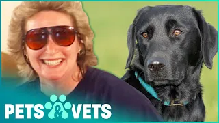 Labrador Guide Dog Meets New Owner | Dogs with Jobs