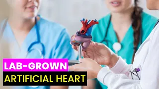 Lab-Grown Artificial Heart | Future Technology & Science News 205