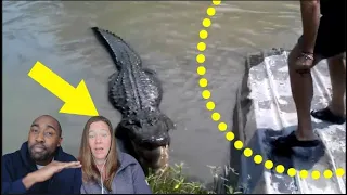 Scary Animal Encounters Not to Watch on Empty Stomach Reaction