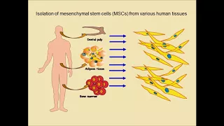 MSC iron oxide exosomes for cancer therapy – Video abstract [ID 145096]