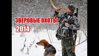 Зверовые охоты 2014 (RUS)