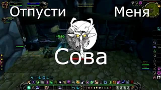 Balance Druid PvP 3.3.5 Отпусти Меня Сова 8