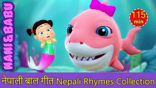 Baby Shark Doo Doo | Nepali Rhymes Collection | लोक प्रिय नेपाली बाल गीत