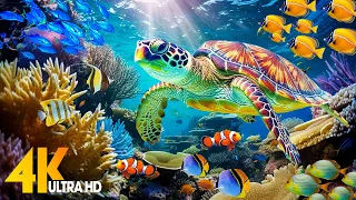 Under Red Sea 4K - Beautiful Coral Reef Fish in Aquarium, Sea Animals for Relaxation - 4K Video #18