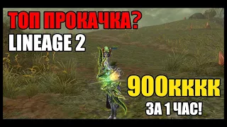 Топ прокачка Lineage 2? Более 900 триллионов опыта за 1 час! Показываю где и как качаюсь на руоффе