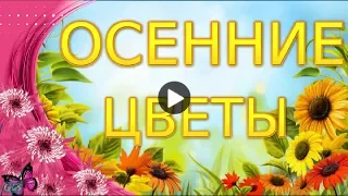 Доброе утро Осень Позитив друзьям Осенние цветы Красивое поздравление Музыкальная видео открытка