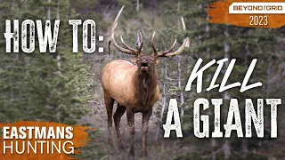 Find the Biggest Bulls Every Hunt | Elk Hunting Secrets Beyond the Grid