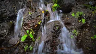 The soft sound of gurgling water for relaxation and sound sleeping.