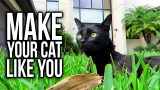 97 Ways to Make Your Cat Like You (Super Cooper Sunday #245)