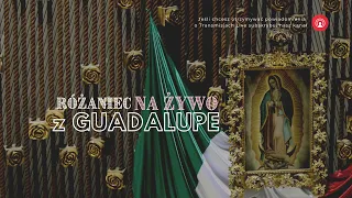 Różaniec na żywo z Guadalupe [17.20.2020] Tajemnice światła