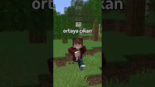 İşte En Ortalama Minecraft Skini.. ⛏💎