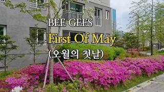 First Of May 오월의 첫날