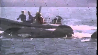 Free Willy 3 - The Rescue (1997) Teaser (VHS Capture)