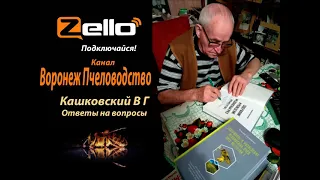 Кашковский В Г. Рецензия на статью: Создать вектор развития «за пчеловодство»