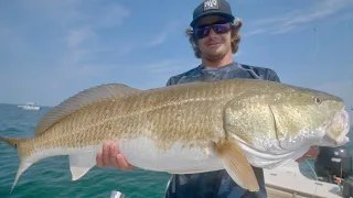 OUTER BANKS FISHING GOES OFF! BULL REDFISH, MAHI, COBIA (Catch and Cook)