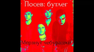 Посев бутлег: "Мёрзнут чебурашки"