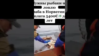 Норвегия 🇧🇻|Работа в море🌊