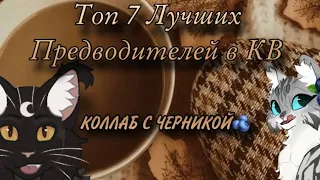 ☕️✨Топ 7 Лучших  Предводителей В Котах-Воителях✨☕️