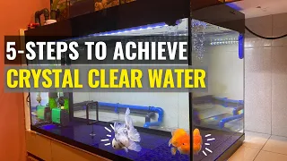 5-Steps to Achieve Crystal Clear Water for your Aquarium Tank