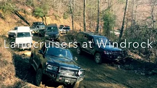 Land Cruisers at Windrock Park: 200 Series, 100 Series, and 62 Series