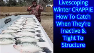 Livescope Winter Crappie Fishing - Crappie Fishing - Catching Crappie When No One Else Can