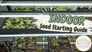 Indoor Seed Starting Guide for Beginners and Seasoned Gardeners - Grow Tomatoes, Peppers & More!