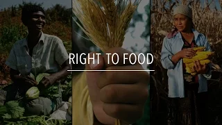 FAO Policy Series: Right to Food