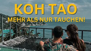KOH TAO - mehr als nur TAUCHEN I Wir zeigen euch WARUM I Thailand Weltreise #vlog5