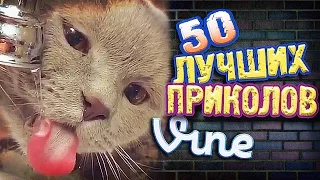 Самые Лучшие Приколы Vine! (ВЫПУСК 129) Лучшие Вайны [17+]