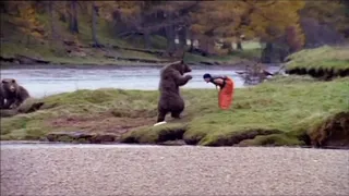 John West Advert - Pink Salmon Caught By Bear - Advert Commercial
