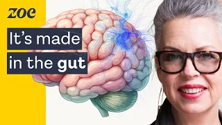 How gut microbes regulate your mood | Prof. Felice Jacka