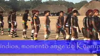 As Aventuras do BINHO - Xingu