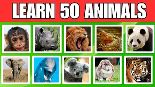 Learn 50 Animals in English for Everyone | Names + Sounds and Spelling