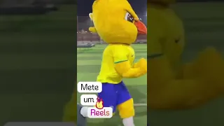 CANARINHO PISTOLA FAZENDO O POMBO 🕊