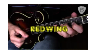 Redwing